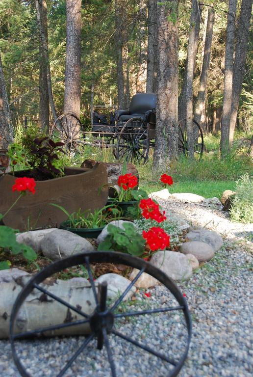 Kicking Horse Canyon Guest House Golden Esterno foto