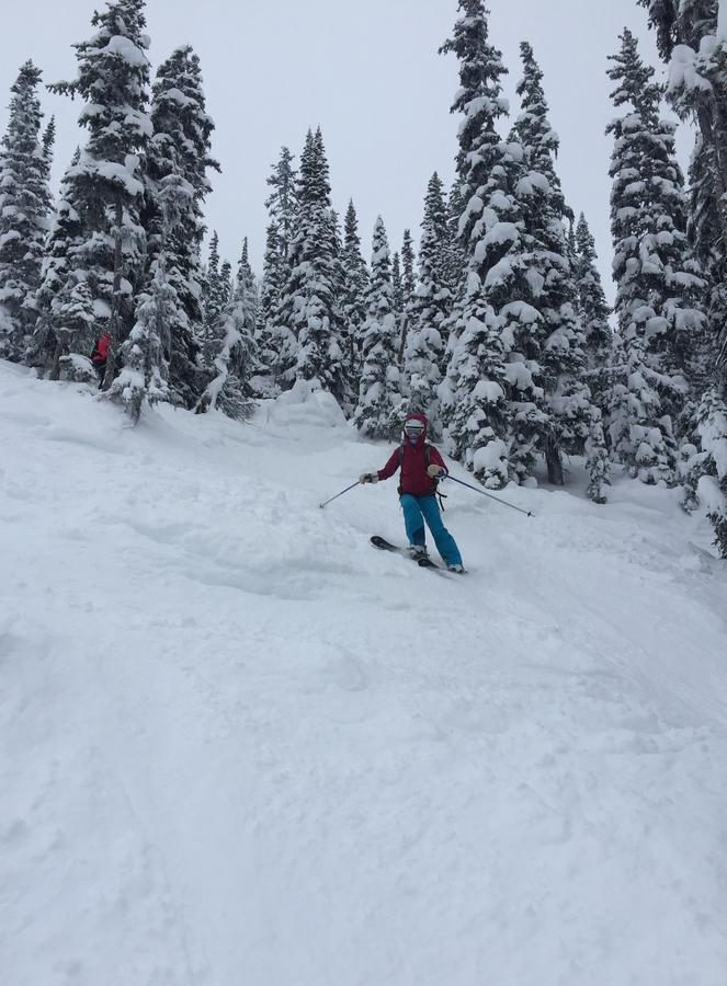 Kicking Horse Canyon Guest House Golden Esterno foto