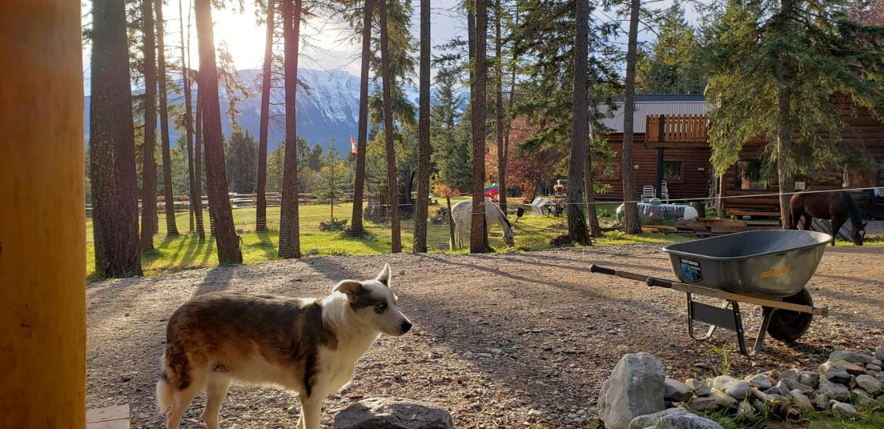 Kicking Horse Canyon Guest House Golden Esterno foto