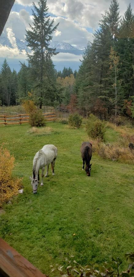 Kicking Horse Canyon Guest House Golden Esterno foto