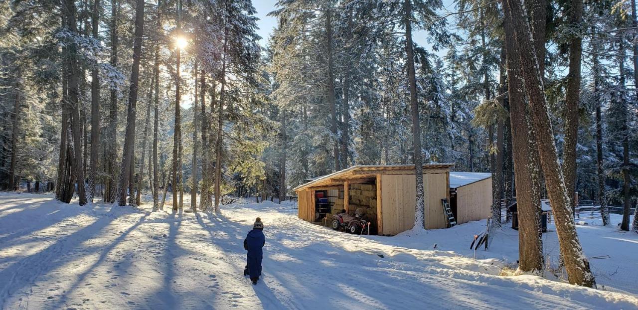 Kicking Horse Canyon Guest House Golden Esterno foto